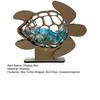 Sea Glass Display Box Sea Turtle Shaped Storage Box Coastal