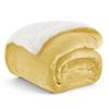 Double-Sided Plush Flannel Fleece Blanket - Ultra-Fine, All-Season Throw for Bed, Sofa, Travel, or Camping
