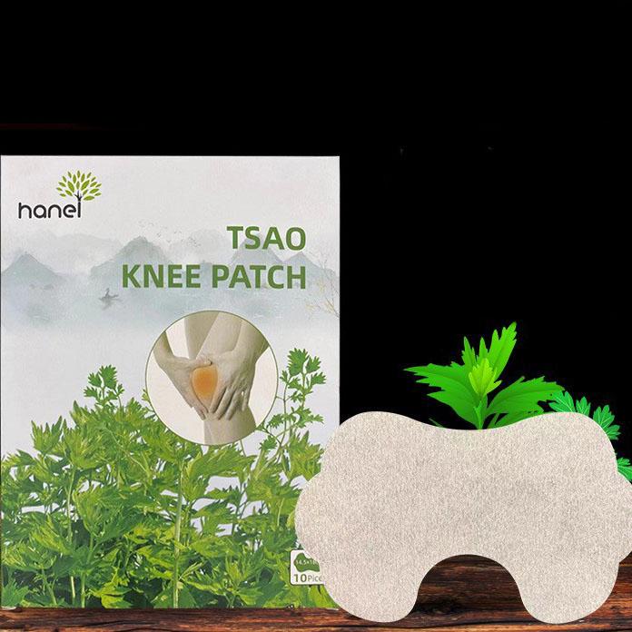 10 יחידות מדבקת תמצית גבס לכאבי מפרק ברכיים לתיקון כאבי מפרקים