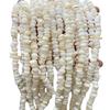 Jingde Jewelry 5-8mm Natural Freshwater White Shell Irregular Chip Beads for DIY Accessories