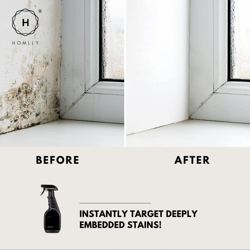 Homlly Magic Wall Anti Mold Mould Mildew Stain Remover Spray (500ml) (X2PCS)