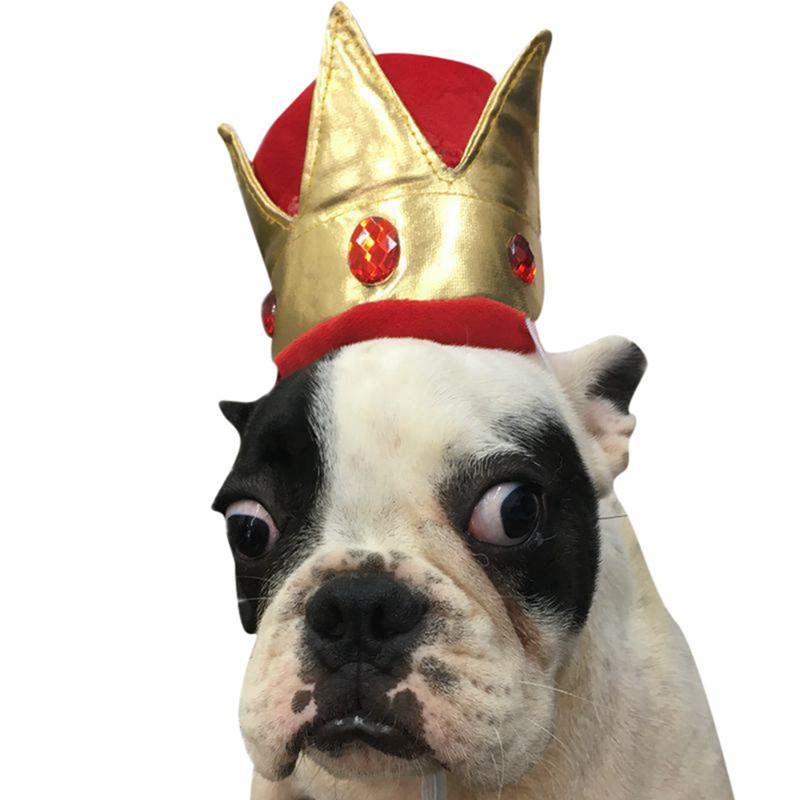 Mixed color dog crown hat pet party hat buy from 5 on Joom e