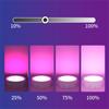 USB Rechargeable LED Puck Light  RGB Color  3 Lamps  1 Remote and Timer  Holiday Fairy Decoration for Bedroom Foyer  86mm