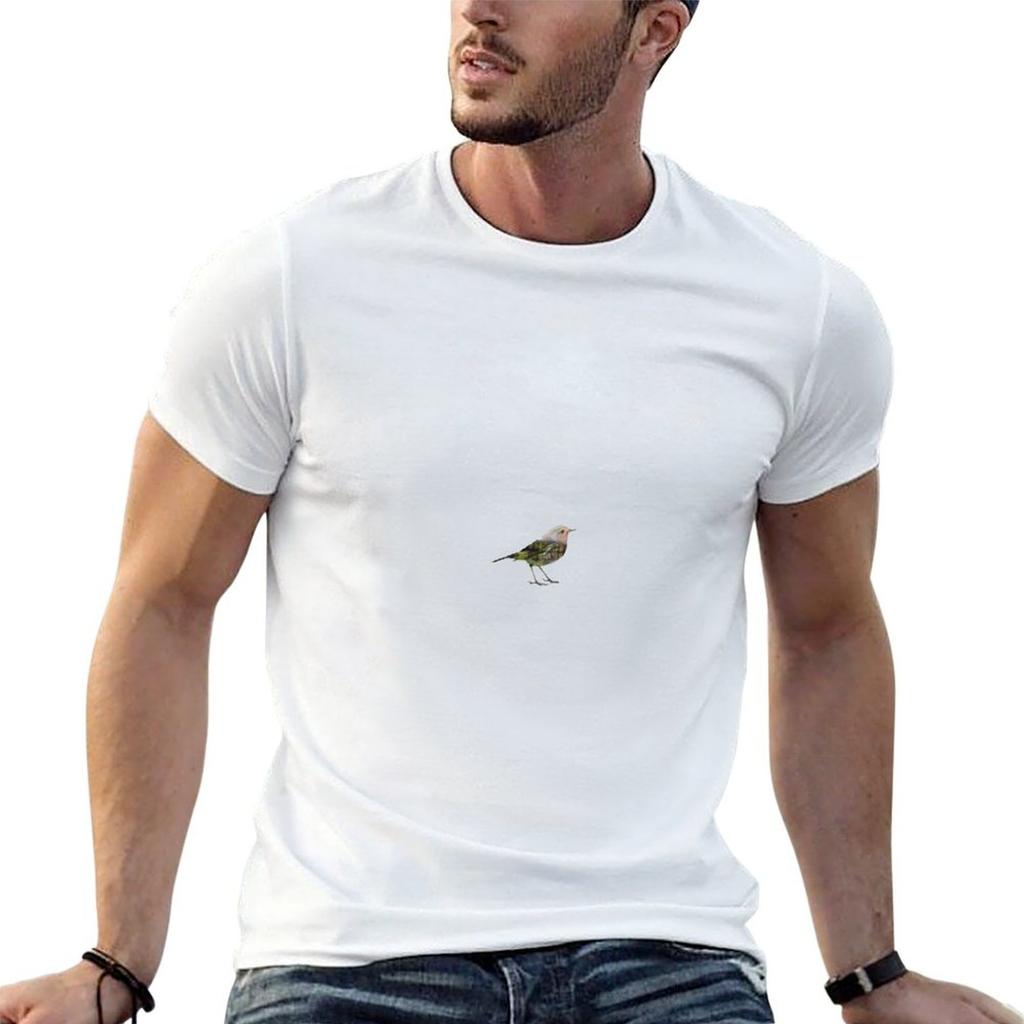 Little Bird Tshirt Unisex T Shirt Designer T Shirts Cotton 100 T Shirts With Prints Tshirt
