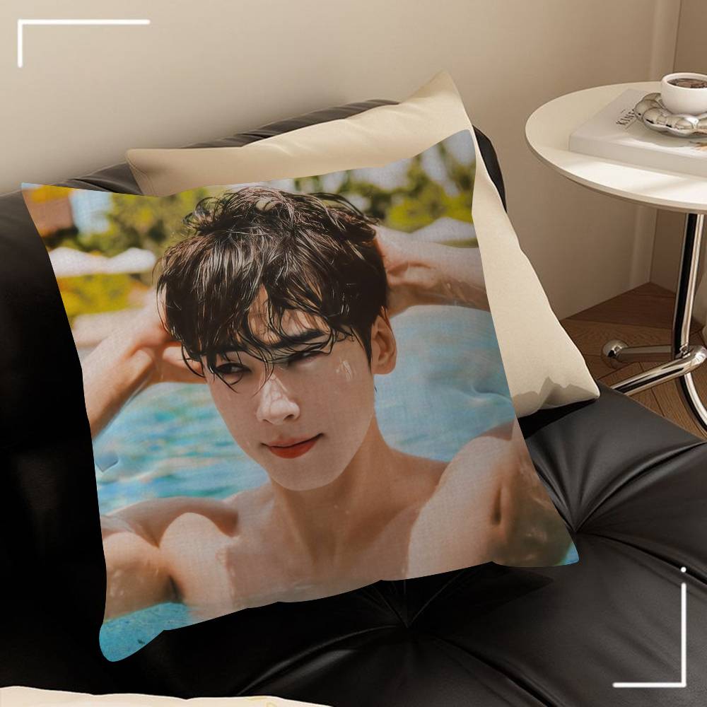 

Singer Cha ido EunWoo Pillow Anime Pillow Sofa Bed Head Pillow Cover Cushion Cover 45x45 cm Fashion 30cmx30cm