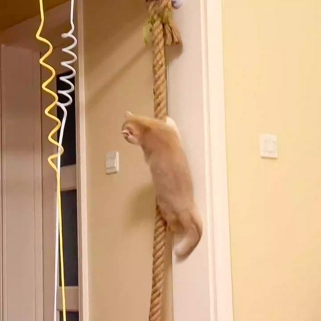 1 Wandmontierte Kletterseil-Sprungplattform für Katzen, Dickes Natürliches Hanfseil, Geeignet für Wohnungskatzen, Erwachsene Katzen