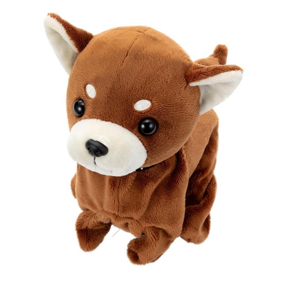 

Coco SAKada CHIWAWA Premium CHIWAWA