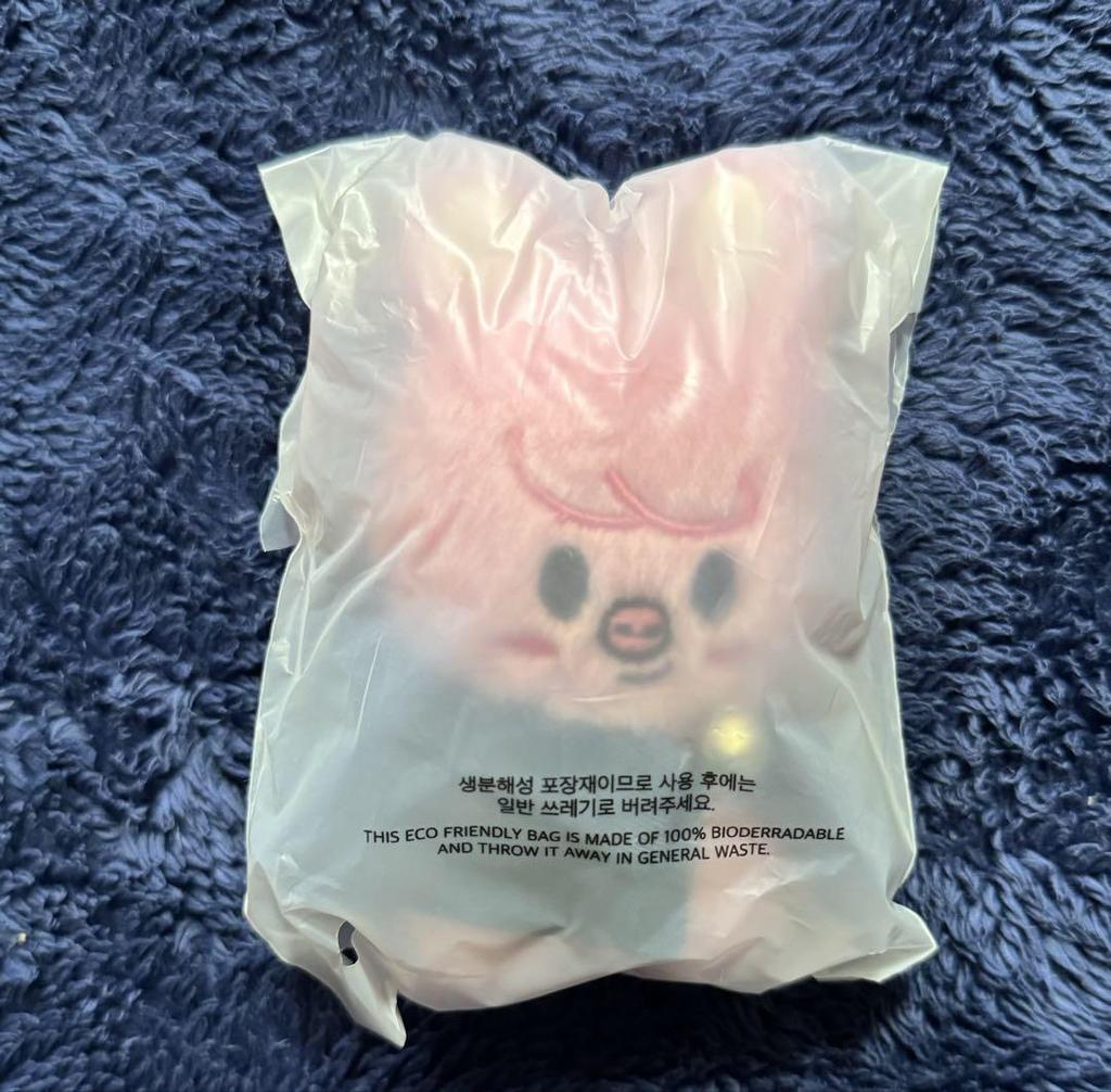 [USED] Anonymous Shipping SKZOO 10cm Plush Toy Toekki