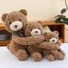 Little Bear Series Plush Toy: Teddy Bear Hugging Doll & Kids' Sleep Pillow