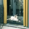 Cat Hammock Window Bed Pet Summer Hammock Bed Home Living Room Suction Cup Wall Hanging Pet Mesh Breathable Hammock
