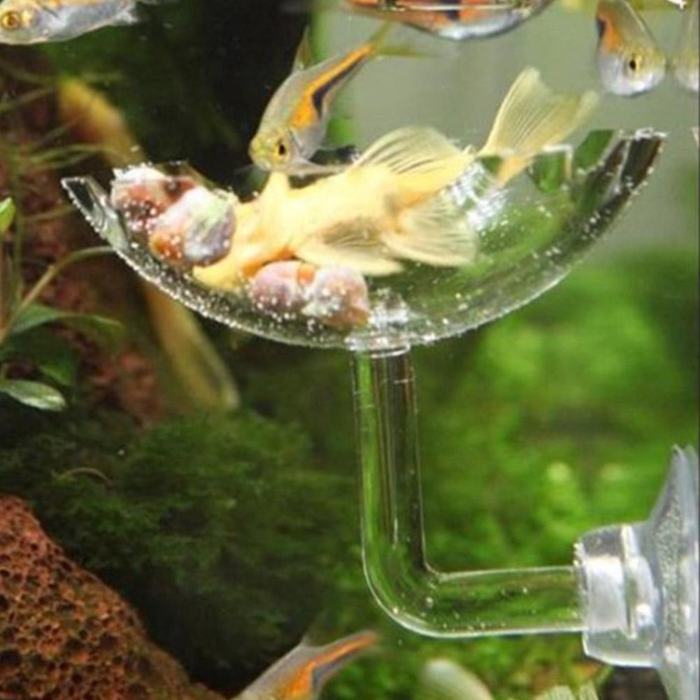 Acrylic Fish Tank Shrimp Feeder Tube with Holder Clip Feeding Bowl Set Aquarium Accessory(20cm)
