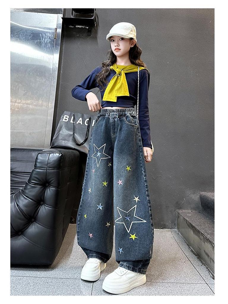 Women's 2025 Autumn Retro Star Embroidered Wide-Leg Jeans