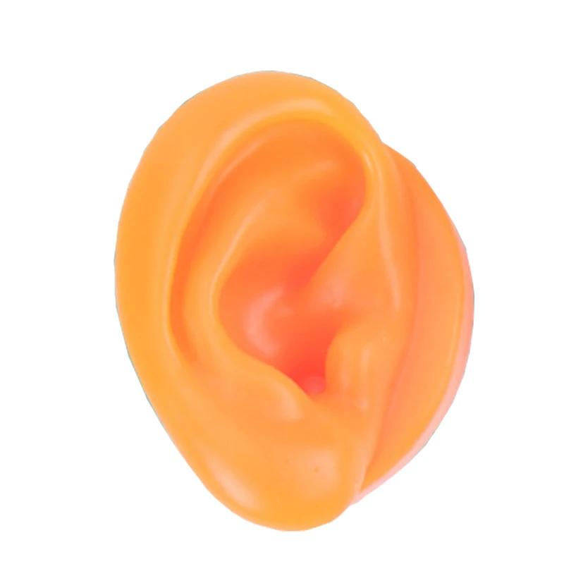 5D Silicone Simulated Artificial Ear Model Ear Stud Piercing Piercing Piercing Teaching Hearing Aid Acupuncture Practice Prop