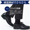 [Gunze] POLO Casual Rib Socks (3-Pack) - Men's