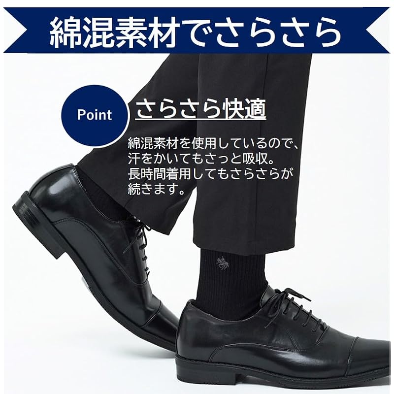 [Gunze] POLO Casual Rib Socks (3-Pack) - Men's