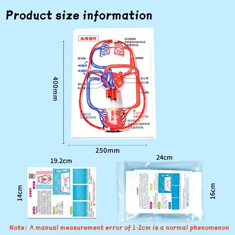 Human Body Circulatory System Model Diy Science Experiment Kit Kids Educational Toy For School Biology Teaching Learning