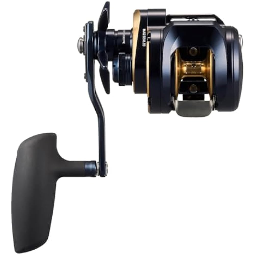 Daiwa (DAIWA) jigging bait reel SALTIGA (Saltiga) 300HL