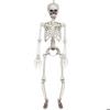 Hanging Skeleton - AIMOONSA - Articulated - 90 Cm - Movable Arms and Legs - Halloween Decoration