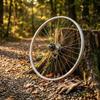 Single Speed Bicycle Rear Wheel Rim 26 Inch Metal Spoke Complete Assembly