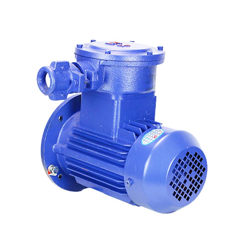 Vertical Explosion-Proof Electric Motor