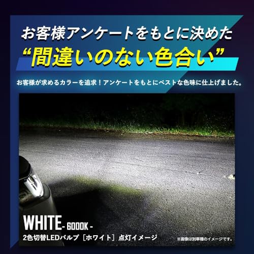 YOURS SPACIA CUSTOM Compatible Genuine Fog Lamp Replacement LED Bulb