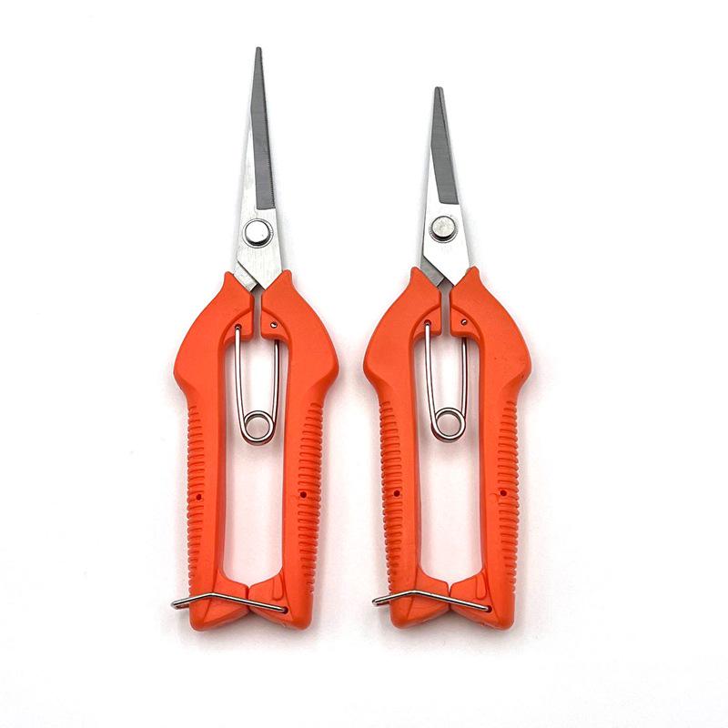 Grape and Flower Arranging Pruning Shears – Ideal for Fruit Picking and Gardening