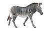 Zebra 88773 Grevy's