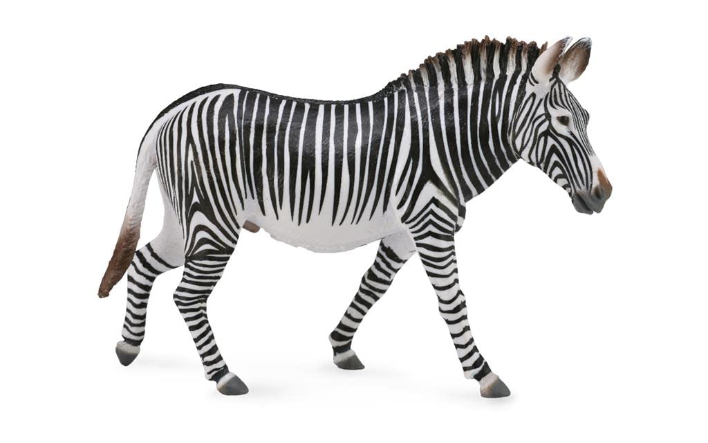 Zebra 88773 Grevy's