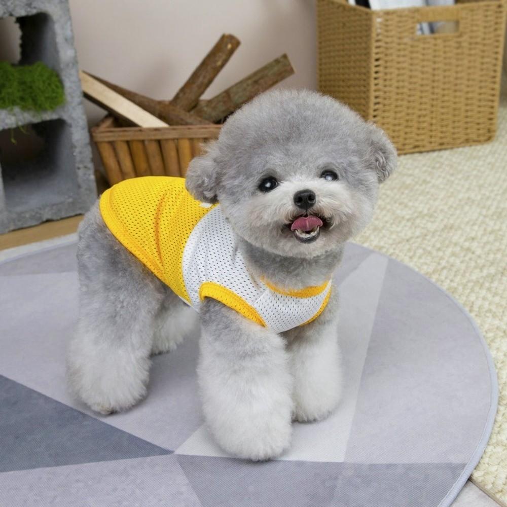 Lightweight Pet Mesh Vest Two-Tone Design Dog T-Shirt Fashion Summer Dog Clothing  Casual Outfit
