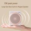 Deli LT910J 10W Wireless Portable Voice Amplifier CN plug (adapter included)