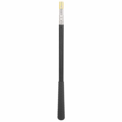 Canna da pesca telescopica a 5 sezioni in acciaio inossidabile estensibile Mini Stream Pole