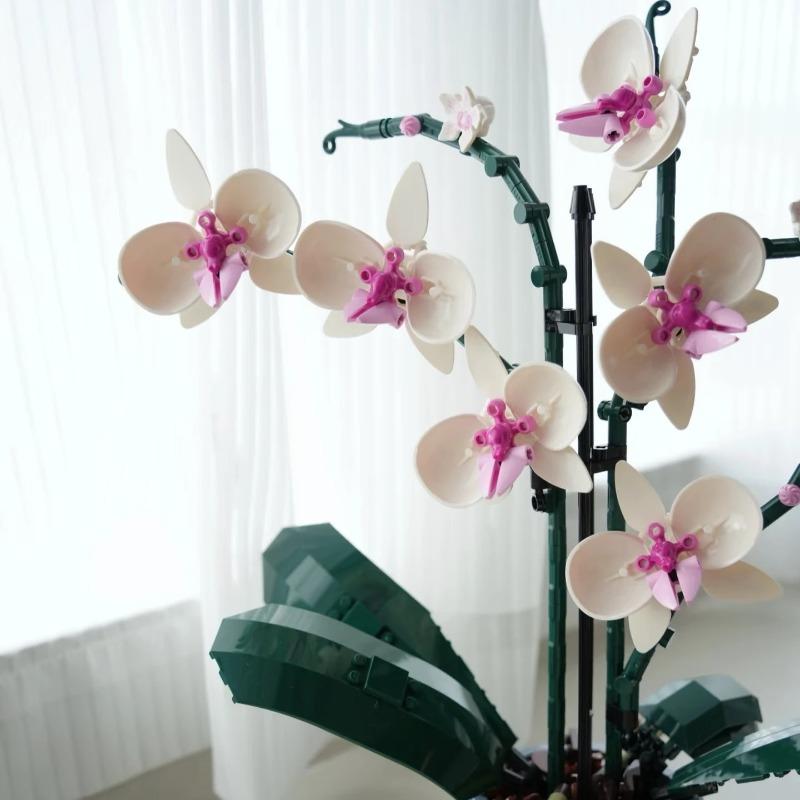 An Orchid Bouquet Is An Ideal Gift Suitable For Home Decoration And Is A Perfect Small Accessory.
