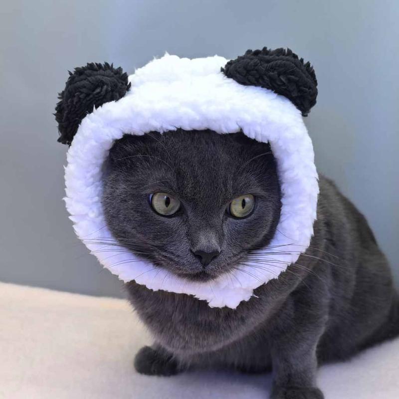 

Cute Bear Headband for Cat Dog Funny Pet Headgear Plush Head Cover Kitten Puppy Cosplay Costume Decorations Accessories