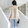Chaleco coreano de piel de zorro sintética para otoño e invierno, camiseta sin mangas de longitud media para mujer, camiseta sin mangas de piel de visón a la moda