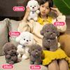 Stuffed Animal Plush Dog Toy Simulation Puppy Plushies Bichon Frise Plush  Xmas Birthday Gifts