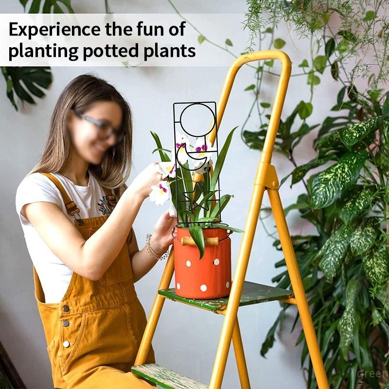 Green Plant Climbing Support Frame Iron Fixing Rods Stand Garden Flower Potted Plant Support Bracket Plant Accessories