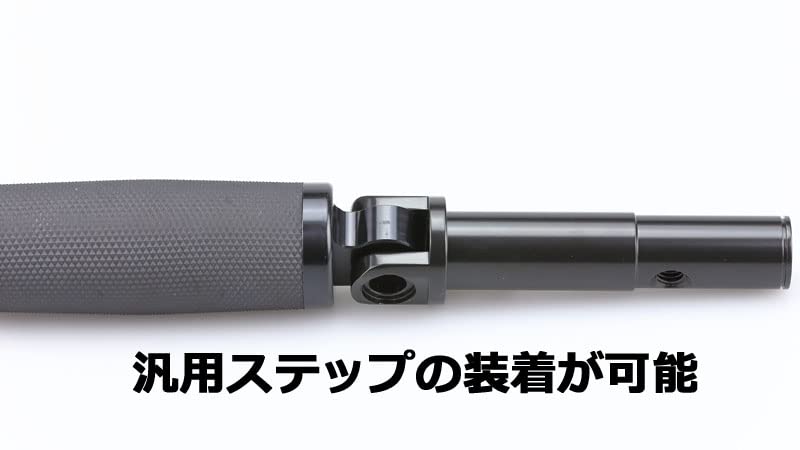 Kijima Set de suport pentru piese de biciclete pentru piese pentru motociclete stanga si dreapta XL1200X cromat HD-05284