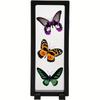 10/15 Dust Free Anti-oxidation Display Box 3D Floating Frame Jewelry Case Coins Treasure Necklaces Bracelets Display Travel Home