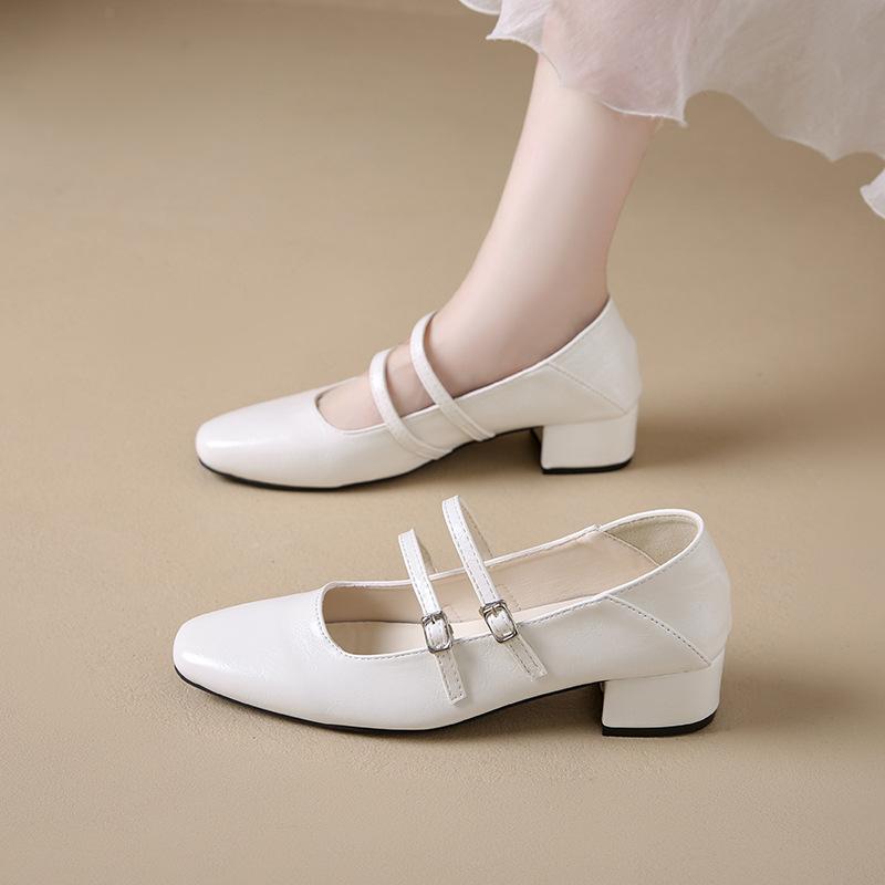 Coarse heel silver single shoes women's 2025 new spring and autumn with skirt evening shoes Mary Jane high heels low heel small leather shoes
