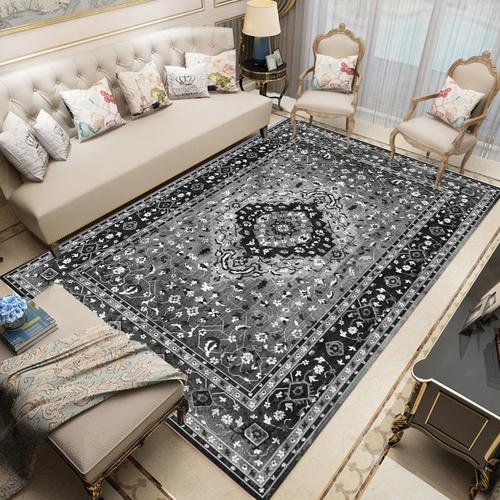 Modern Chinese Living Room Persian Carpet Simple Bedroom Decoration Area Rug Large Porch Door Mat Absorbent Non-slip Bath Mat
