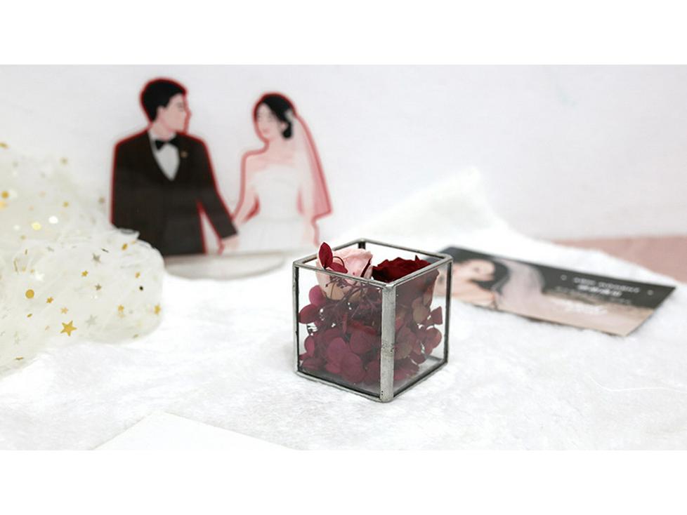Square Transparent Glass Jewelry Box - Ring, Ear Stud, Earring, and Necklace Organizer