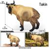Wild Safari Animal Figurines: Giraffe, Elephant, Rhinoceros, Brown Bear, Tiger, Lion, Leopard, Hippopotamus - Solid Cognitive Toys