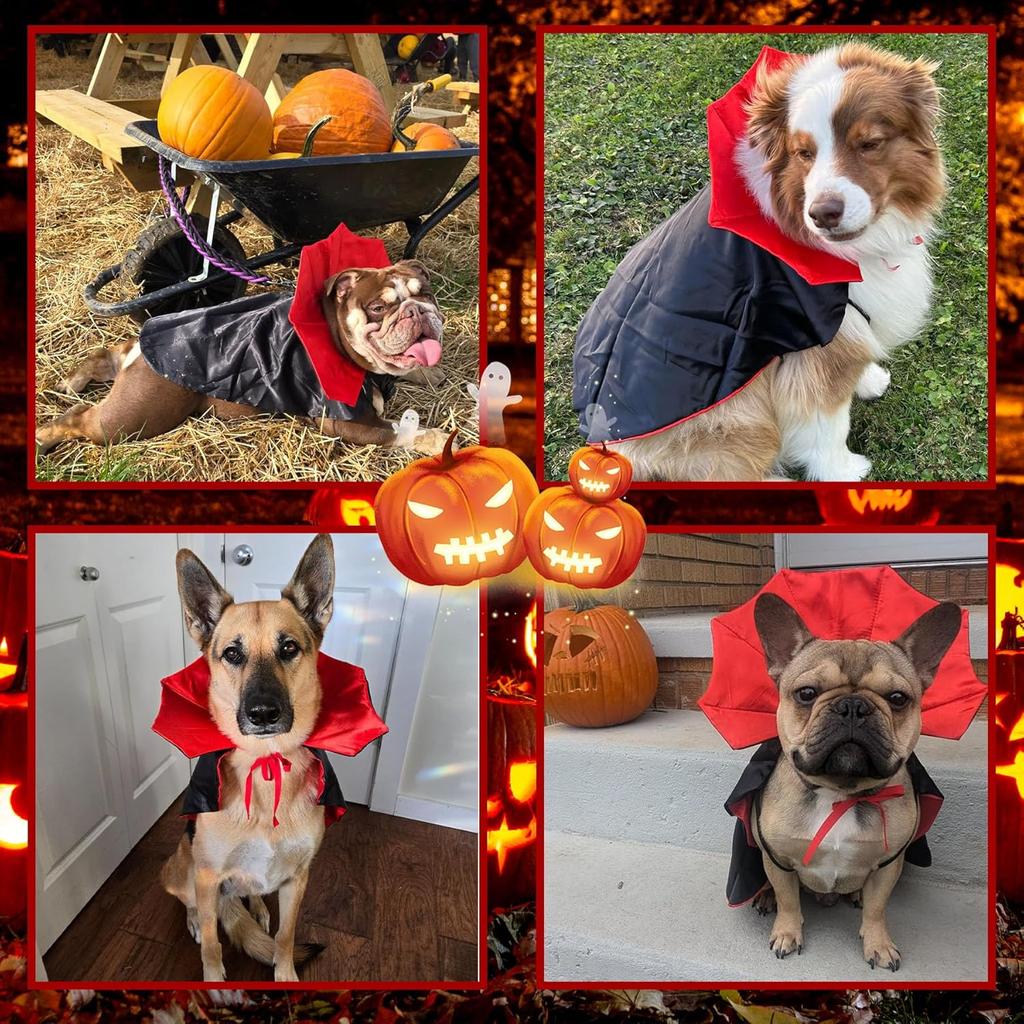 Dog Halloween Costumes, Dog Vampire Devil Cloak Cape Costume Halloween Costumes for Small Medium Large Dogs Pets (Large)