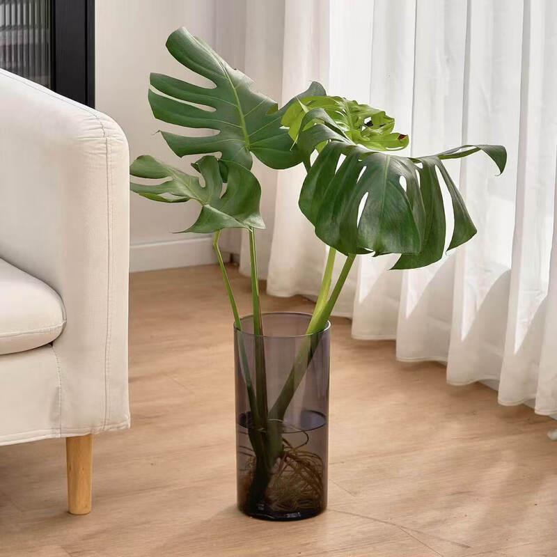 ZISIZ Anti-Fall Clear Straight Cylinder Vase
