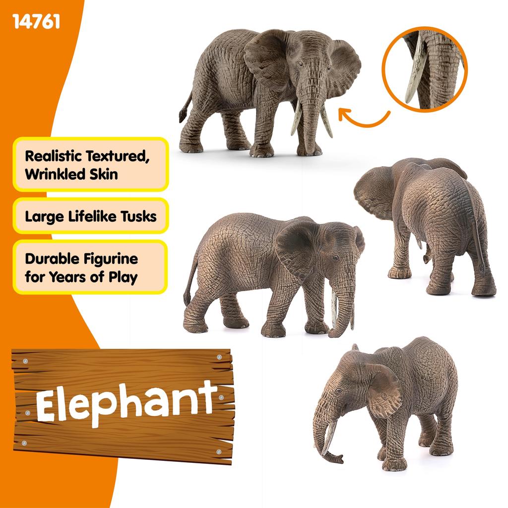 Schleich Wildlife Słoń Afrykański 14761N (Płeć żeńska)