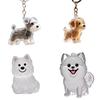 Capsulă Memorială Transparentă pentru Păr de Cățel Suvenir Container pentru Blană de Câine Animal de Companie Pandantiv Breloc DIY Decor Iubitori de Animale de Companie Afișaj Acasă Cadouri