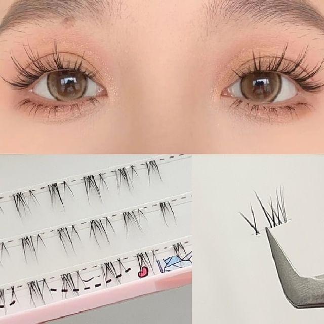 Denivyse - Mehrpack-Cluster-Wimpern mit Kreuzboden