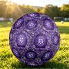Personalized Size 5 Football Austria Wien FC Pattern Outdoor Game Sports Ball Gift