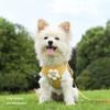 Dog Harness Walking Lead Leash For Dog Cat Collar Vest Breathable Leash Puppy Rope Go Out Anti-Lost Small Medium Pet Accessories