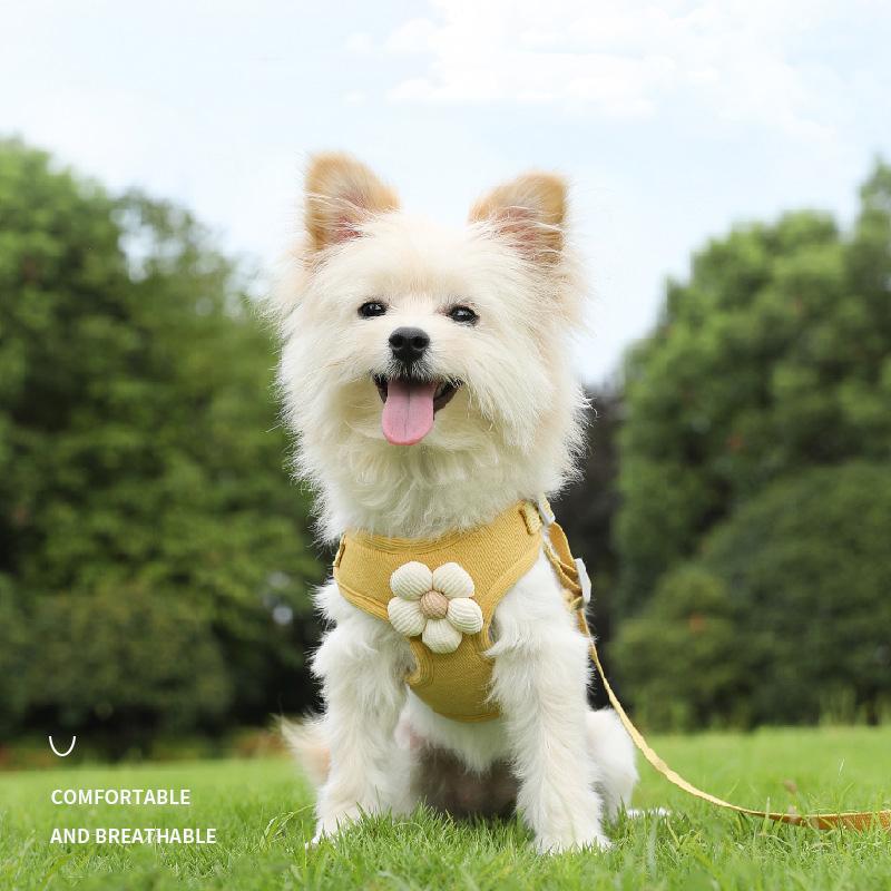 Dog Harness Walking Lead Leash For Dog Cat Collar Vest Breathable Leash Puppy Rope Go Out Anti-Lost Small Medium Pet Accessories